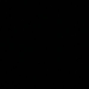 Meet your Posher, Max